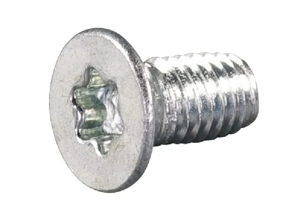 AS Motor - E05451ASM - Schraube 5x10 Mit Torx