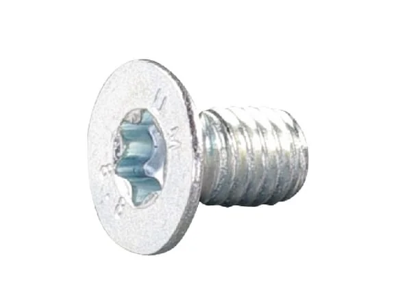 AS Motor - E05845ASM - Zaehlerbolzen ITorx M6x10 8.8