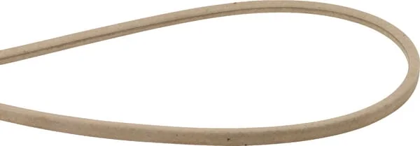 AYP - 598559101 - Keilriemen