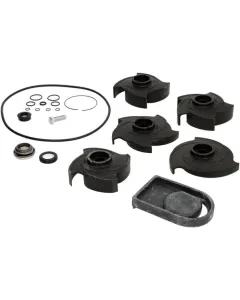 Banjo - 12000A - Reparatursatz 2" Poly-Pumpe