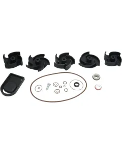 Banjo - 12000AV - Reparatursatz 2" Poly-Pumpe FKM