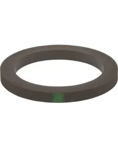 Banjo - 200GV - Dichtung 2" (VITON)