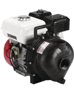 Banjo - 200PH5 - Poly-Pumpe 5 PS Honda Motor 2"