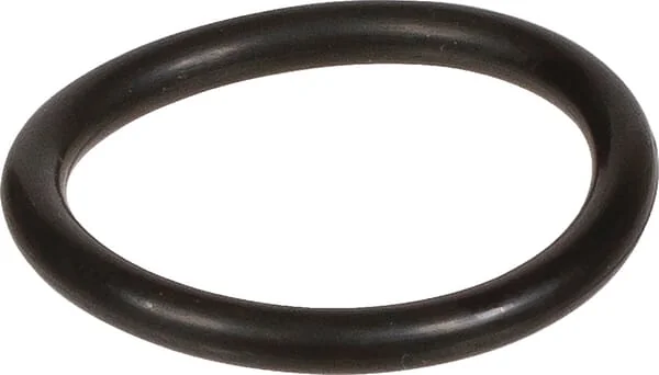 Bertolini - 803195002 - Dichtungsring 20,29x2,62 MM 70 Shore EPDM Schwarz Bertolini