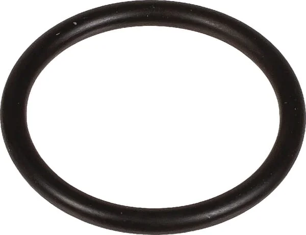 Bertolini - 803204002 - O-Ring 23,8x2,62MM 70 Shore EPDM Schwarz Bertolini