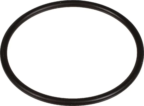 Bertolini - 803209402 - Dichtungsring 44,12x2,62 MM 70 Shore EPDM Schwarz Bertolini