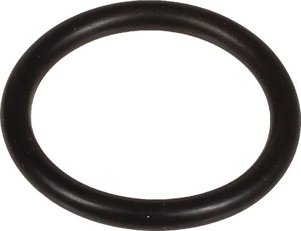 Bertolini - 803218002 - Dichtungsring 22x3 MM 70 Shore EPDM Schwarz Bertolini