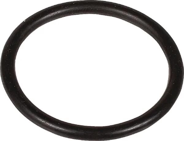 Bertolini - 803219102 - Dichtungsring 30x3 MM 70 Shore EPDM Schwarz Bertolini