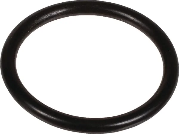 Bertolini - 803250002 - O-Ring 31,34x3,53 MM 70 Shore EPDM Schwarz Bertolini