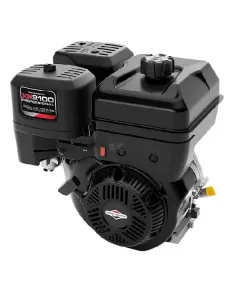 Briggs and Stratton - 25T2320120H5 - Motor, Horizontal 13.5 PS, 210