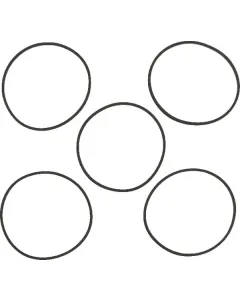 Briggs and Stratton - 4202WM - Dichtung 5x 281165S