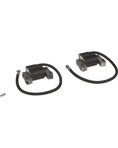 Briggs and Stratton - 843860WM - Zuendspule, Briggs and Stratton
