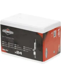 Briggs and Stratton - 992301C - Zuendkerzen BS-SV Garage 24x