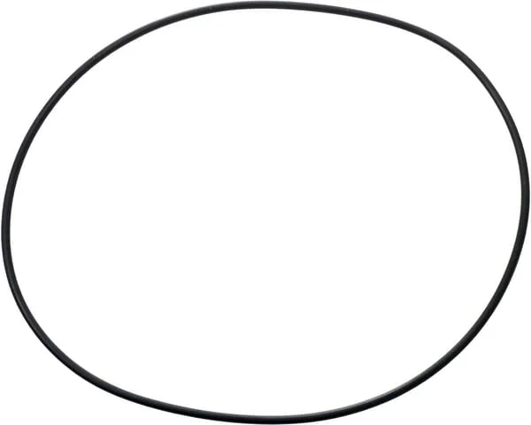 Carraro - CI028571 - O-Ring