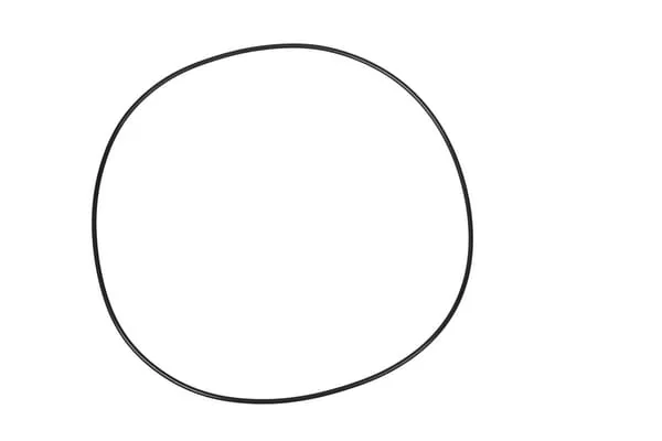 Carraro - CI028579 - Dichtungsring 253.59x3.53mm