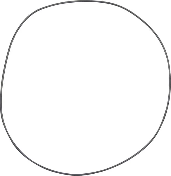 Carraro - CI028632 - O-Ring-Dichtung