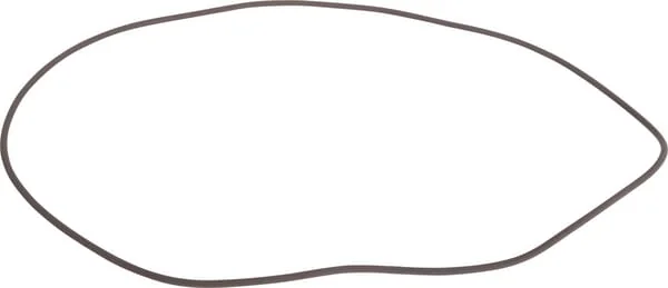 Carraro - CI028649 - O-Ring