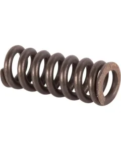 Carraro - CI071352 - Feder-Set