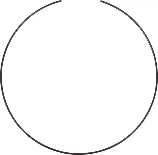 Carraro - CI117107 - Ring