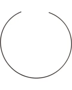 Carraro - CI125555 - Seegerring