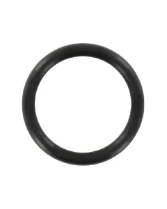 Case IH - 122057 - O-Ring