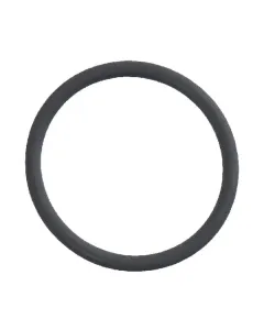 Case IH - 1328393C1 - O-Ring-Montageventil 26 x 2,5