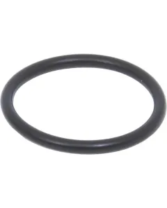 Case IH - 14457980 - O-Ring