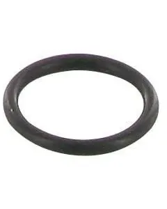 Case IH - 3057401R1 - O-Ring Case IH