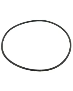 Case IH - 3057614R1 - O-Ring Hubzylinder