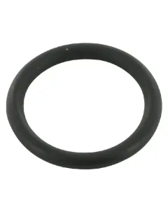 Case IH - 3058327R1 - O-Ring Handbremswelle