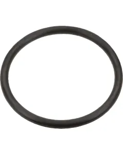 Case IH - 3131661R1 - O-Ring Case IH