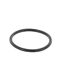Case IH - 3134564R3 - O-Ring Hubwelle Case IH