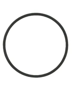 Case IH - 3228344R1 - O-Ring Rot fuer Liner