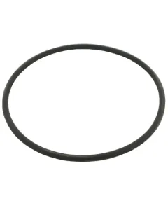 Case IH - 3228348R1 - O-Ring Gelb fuer Liner