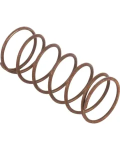 Case IH - 4952341 - Feder