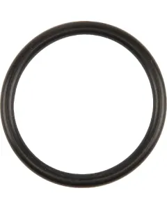 Case IH - 717068R1 - Ring