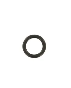 Case IH - 717203R1 - Dichtring Duesenhalter