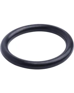Case IH - 86629540 - Dichtungsring
