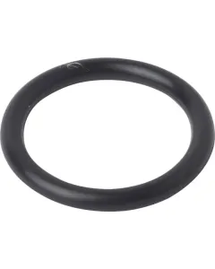 Case IH - 86977728 - Ring