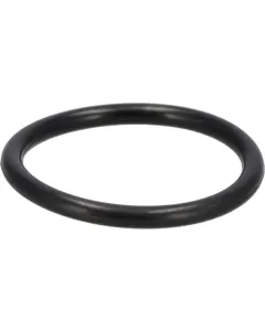 Case IH - 9672549 - Ring