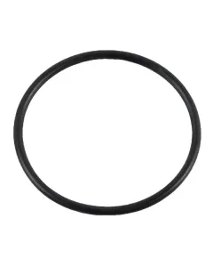 Case IH - 9991976 - O-Ring