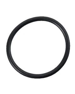 Case IH - E1NN3125AA - O-Ring-Sicherung CNH