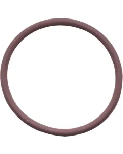 CNH - 17278981 - O-Ring