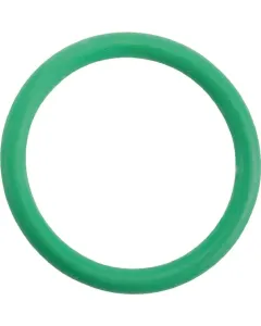 CNH - 47984696 - O-Ring