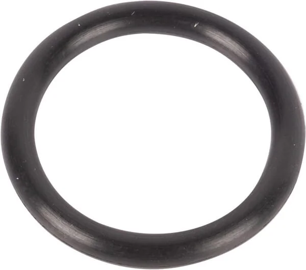 CNH - 511029 - O-Ring