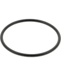 CNH - 9820460 - O-Ring