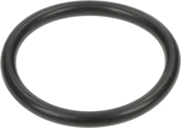 CNH INDUSTRIAL - 353108 - O-Ring