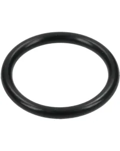 Comet - 12100002 - Dichtring 20,62x2,62 mm 70 Shore EPDM Schwarz