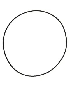 Comet - 12100355 - O-Ring 164,77x2,62mm 70 Shore Schwarz