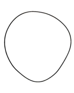 Comet - 5019066100 - O-Ring 126,72x1,78mm 70 Shore Schwarz